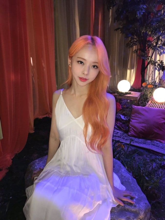 Cover for loonathesmut