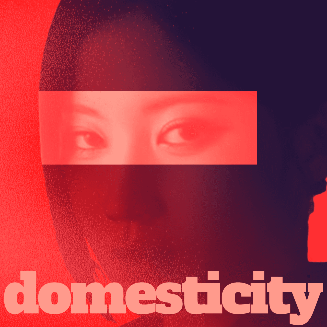 Cover for Domesticity