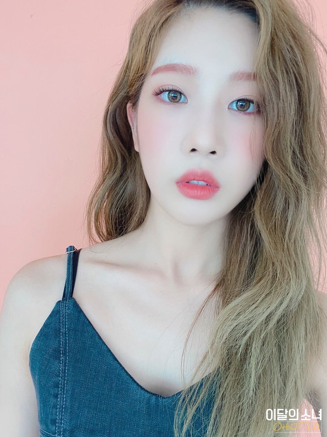 Cover for loonathesmut