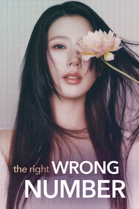 Cover for The Right Wrong Number