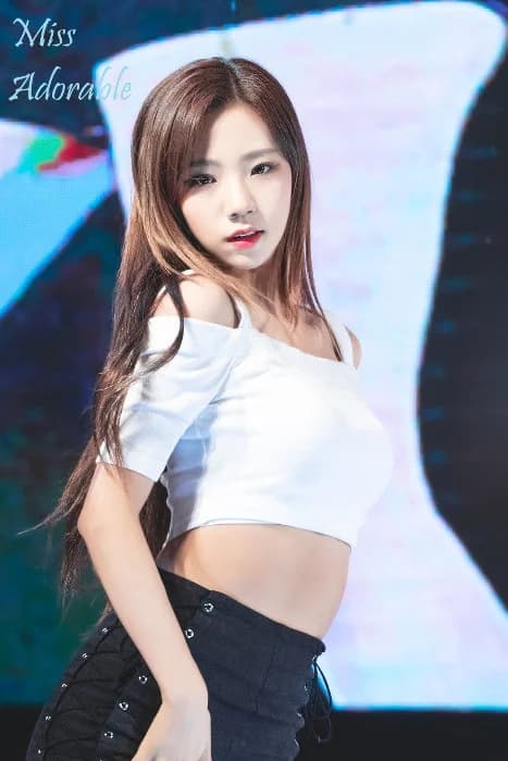 Cover for The Pet of Kim Taeyeon