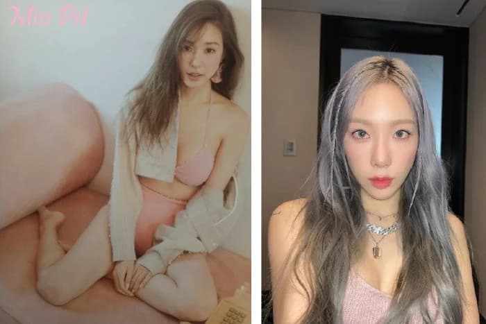 Cover for The Pet of Kim Taeyeon