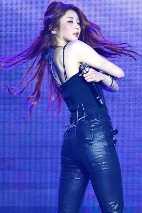 Cover for When an Unstoppable Force Meets an Immovable Objec