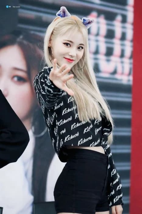 Cover for loonathesmut