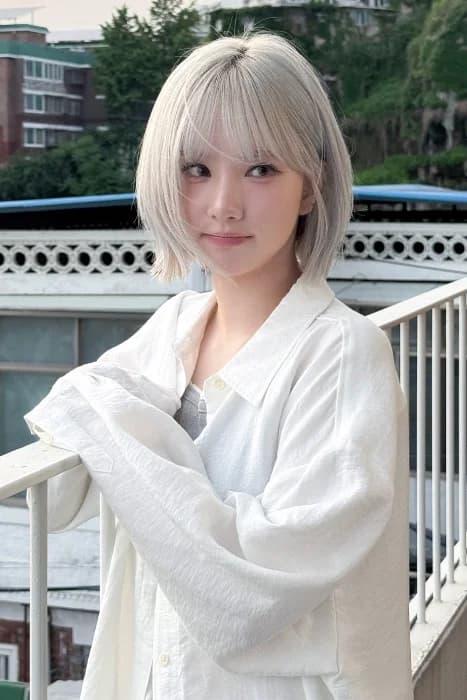 Cover for May flowers and spring rabbits