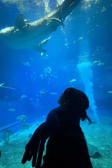 Cover for Marine Tales