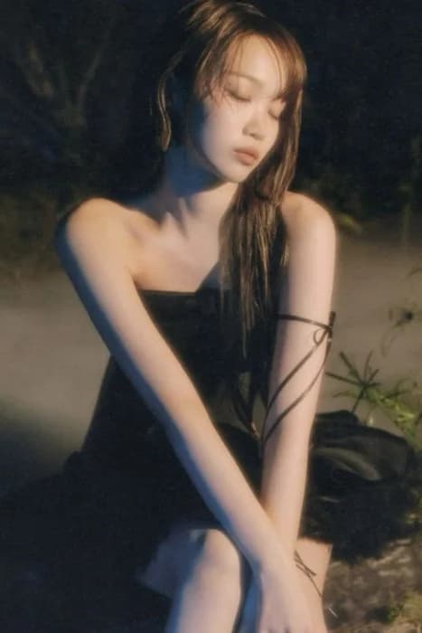 Cover for Echoes of Heaven