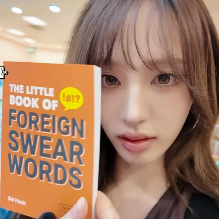 Cover for The little book of foreign swear words