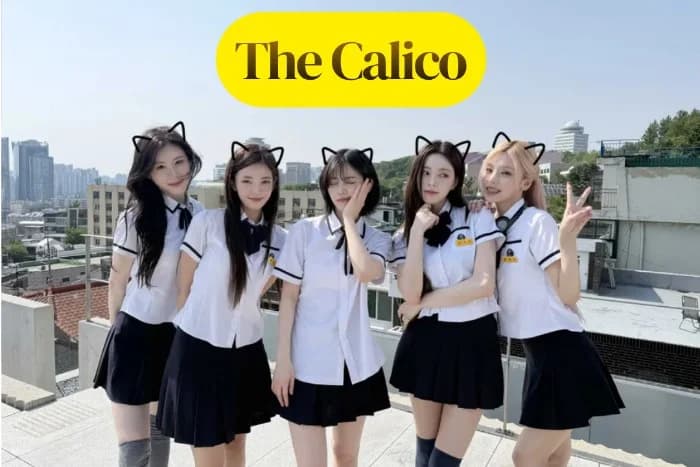 Cover for The Calico