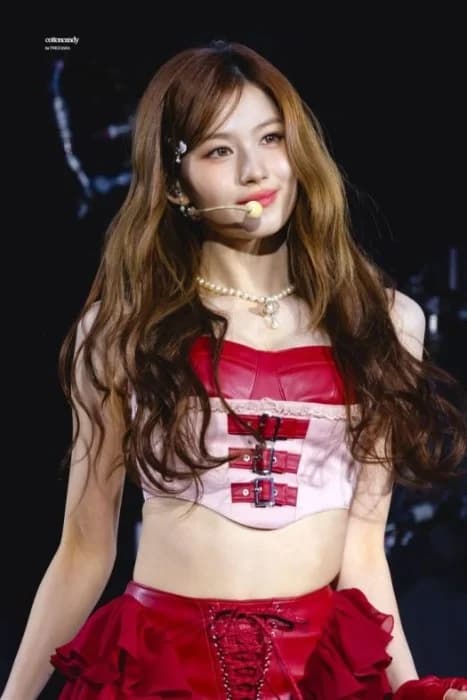 Cover for "The Melody Of Touch" | Sana x Male Reader