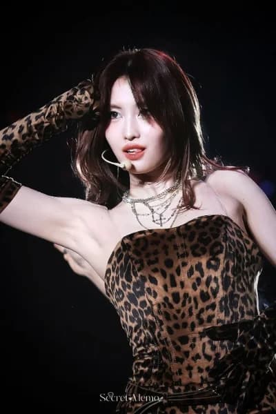 Momo 005